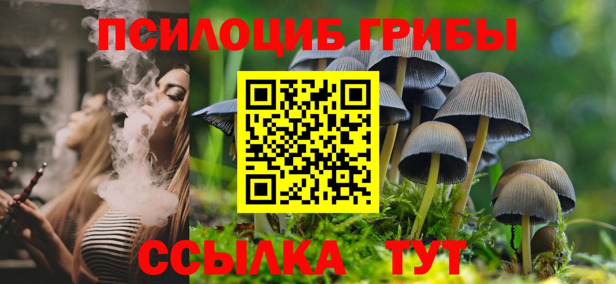 Ялуторовск  Галлюциногенные грибы Psilocybine cubensis  цены наркотик  Вход с VPN 